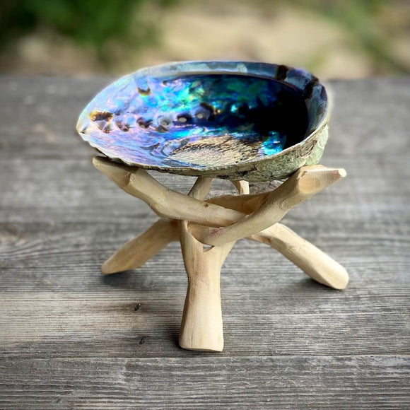 Smudge Set - Abalone Shell Bowl and Cobra Stand