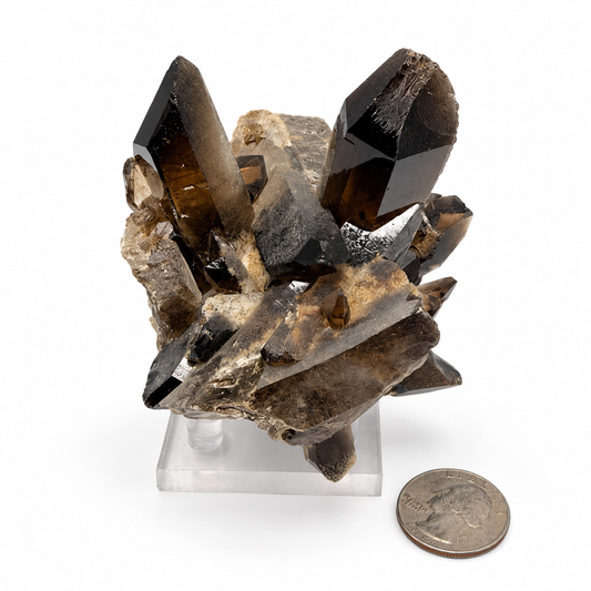 Smoky Quartz Crystal Cluster – Natural Multi-Point Specimen