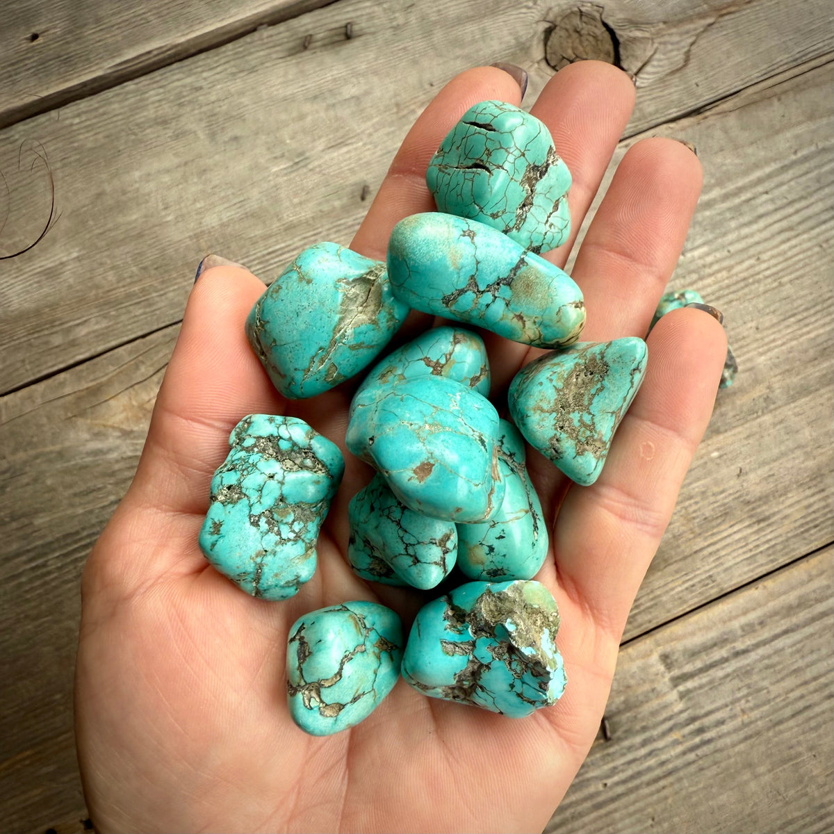 Tumbled Tibetan Turquoise Stone Rocks & Fossils