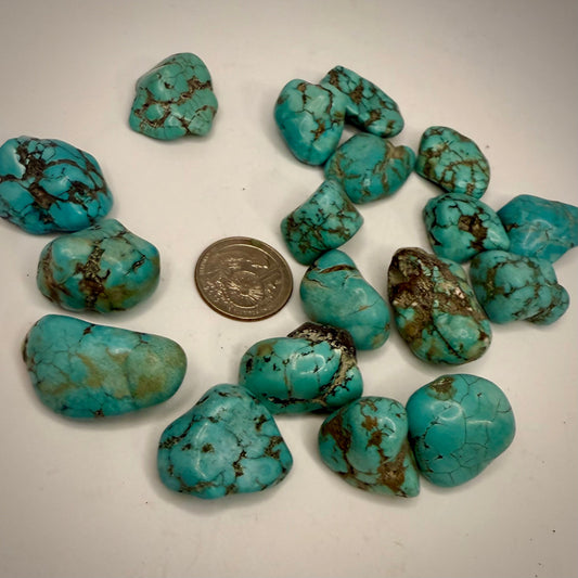 Tumbled Tibetan Turquoise Stone Rocks & Fossils