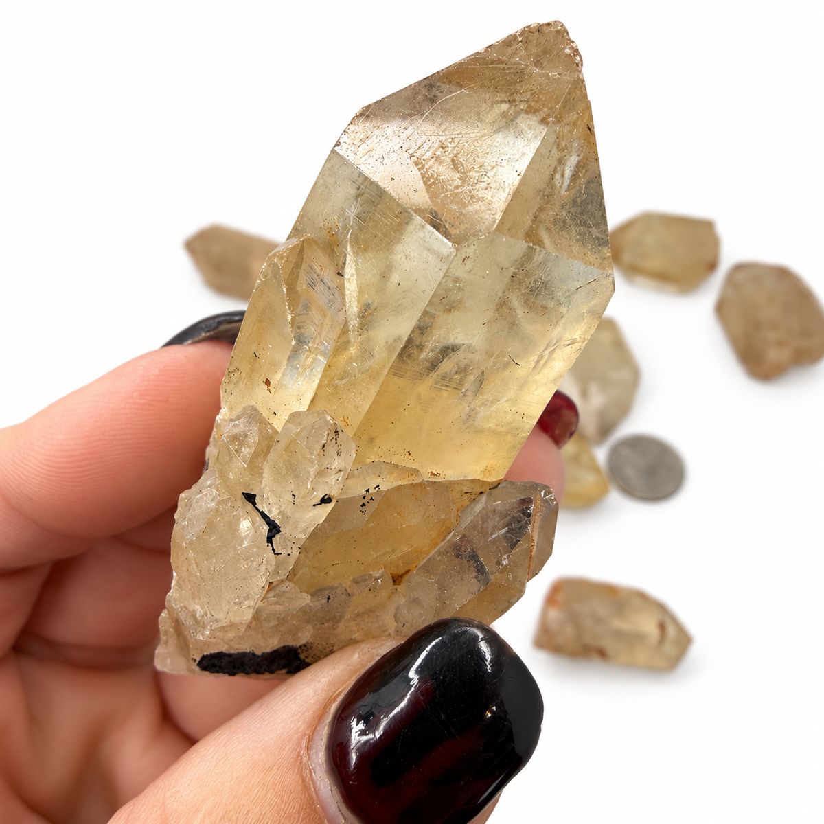 Assorted natural citrine points intuitively chosen, size view with quarter - Magick Souls