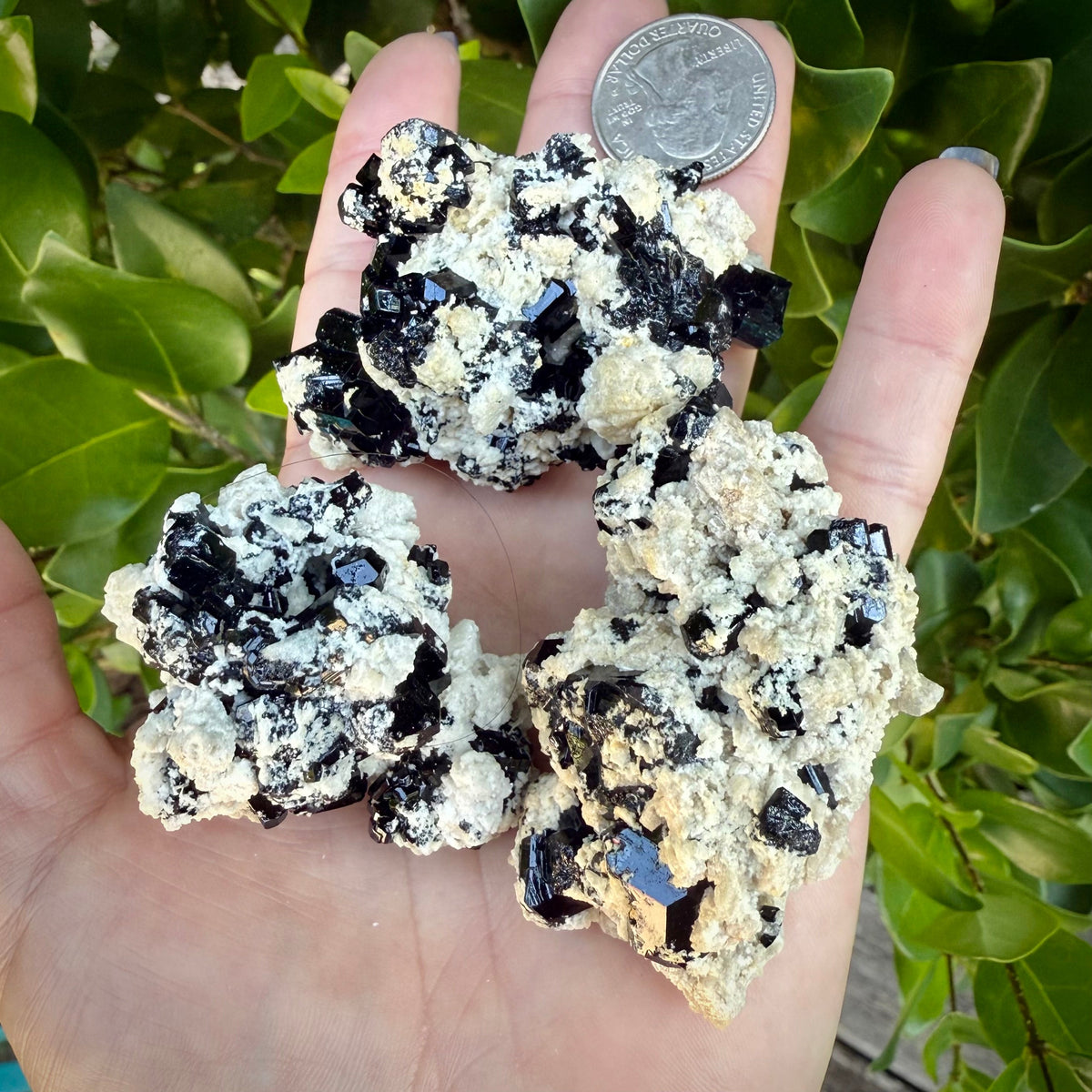 Natural Black Schorl Tourmaline & Smoky Quartz – Namibia M Rocks & Fossils