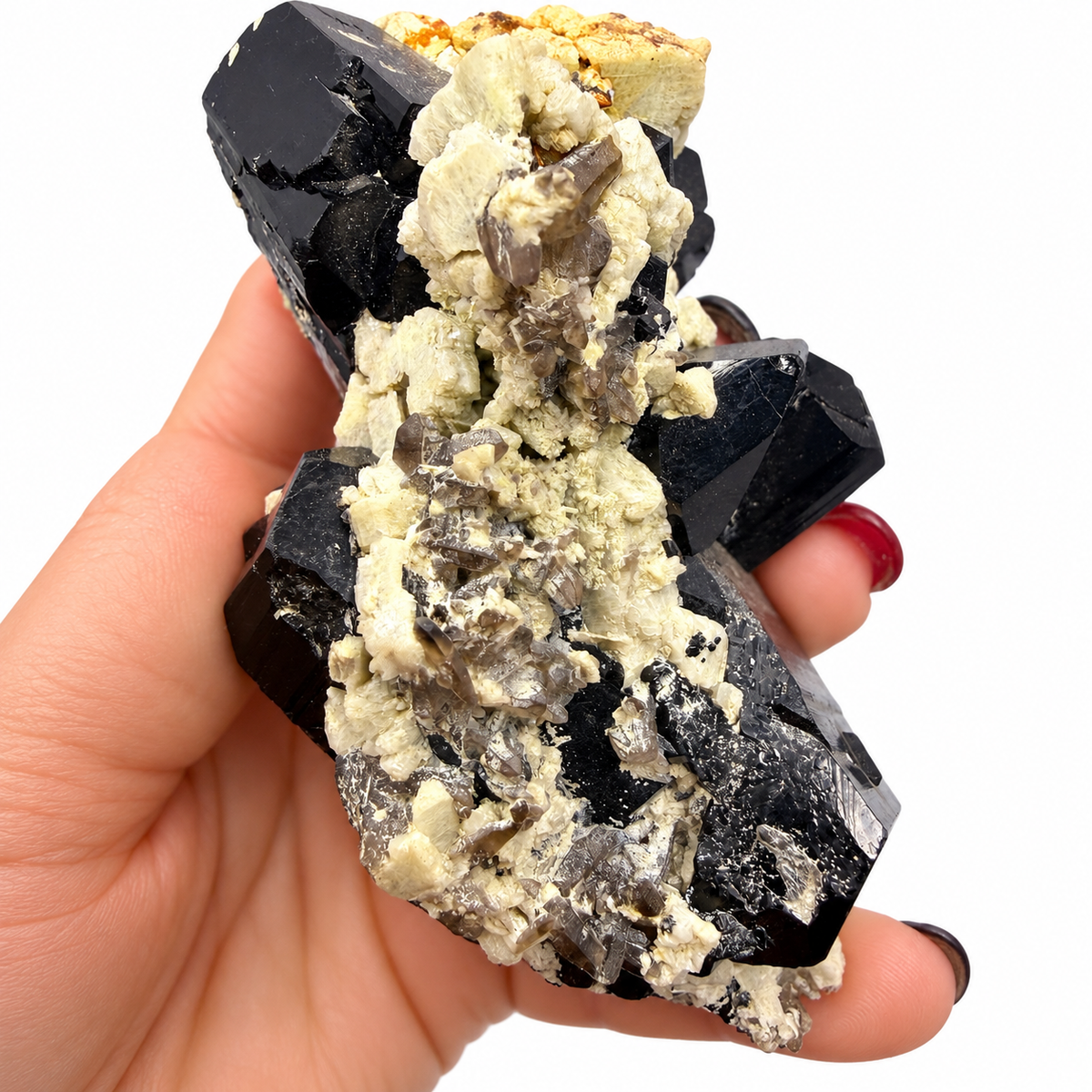 Large black tourmaline and smoky quartz specimen next to a quarter for scale - Magick Souls