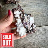 Black Tourmaline and Mica Flat Based Natural Freeforms - Magick Souls