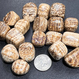 Brown Aragonite Tumbled Stones (By The Piece Or Pound) Wholesale Home & Living > Home Decor > Home Accents > Rocks &