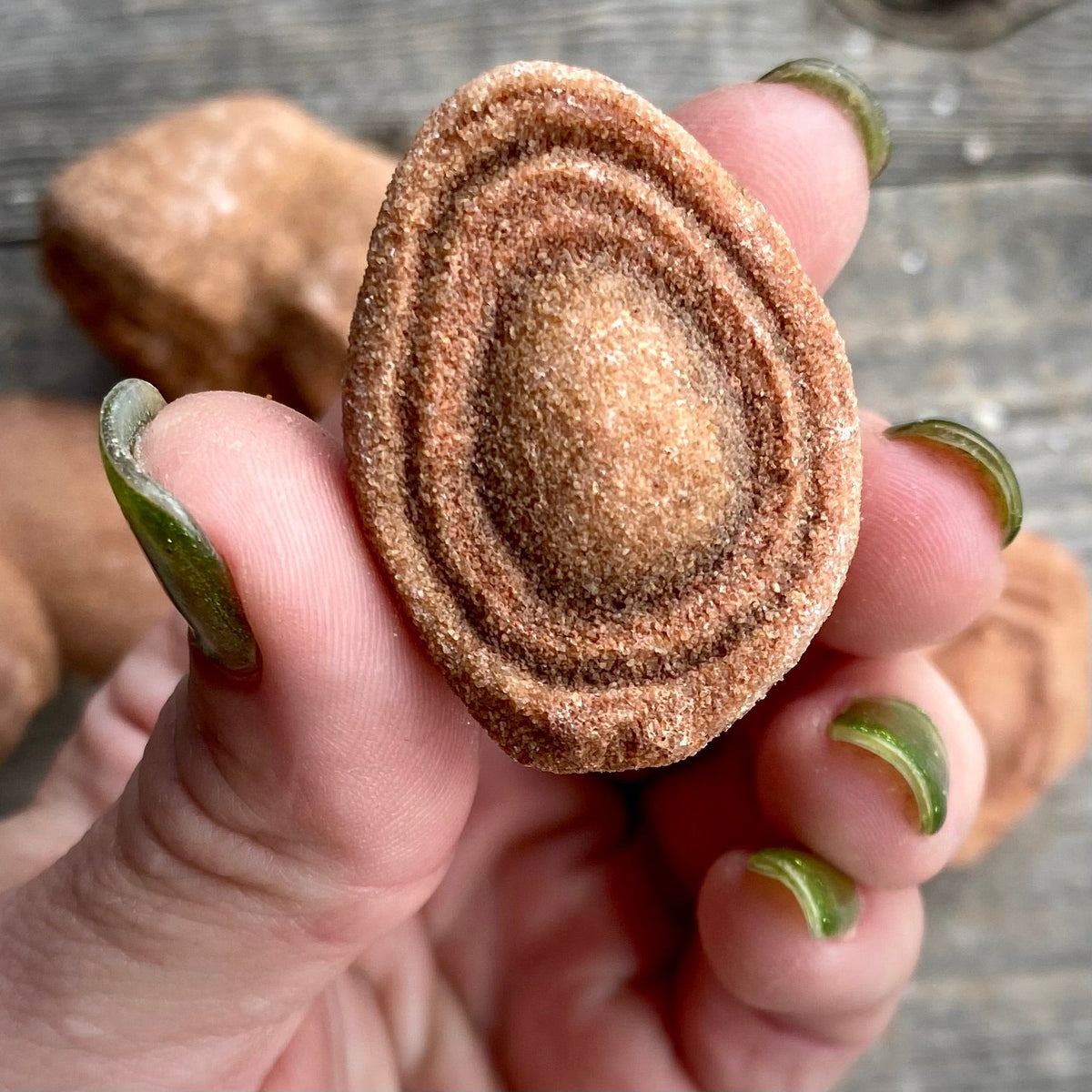 Natural stromatolite fossil, ancient cyanobacteria layers - Magick Souls