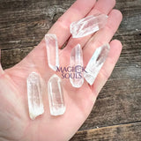 Lemurian Seed Clear Quartz Point - Magick Souls