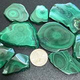Malachite Slices (1 3 Inches) Polished Freeform Cabochons Gemstone Decor Craft Supplies & Tools > Beads Gems &