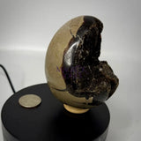 Septarian Druzy Dragon Egg UV Reactive Rocks & Fossils