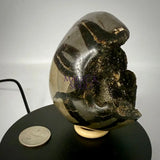 Septarian Druzy Dragon Egg UV Reactive Rocks & Fossils