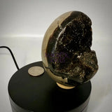 Septarian Druzy Dragon Egg UV Reactive Rocks & Fossils