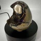 Septarian Druzy Dragon Egg UV Reactive Rocks & Fossils