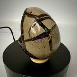 Septarian Druzy Dragon Egg UV Reactive Rocks & Fossils