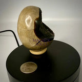 Septarian Druzy Dragon Egg UV Reactive Rocks & Fossils