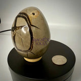 Septarian Druzy Dragon Egg UV Reactive Rocks & Fossils