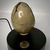 Septarian Druzy Dragon Egg UV Reactive Rocks & Fossils