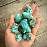 Tumbled Tibetan Turquoise Stone Rocks & Fossils