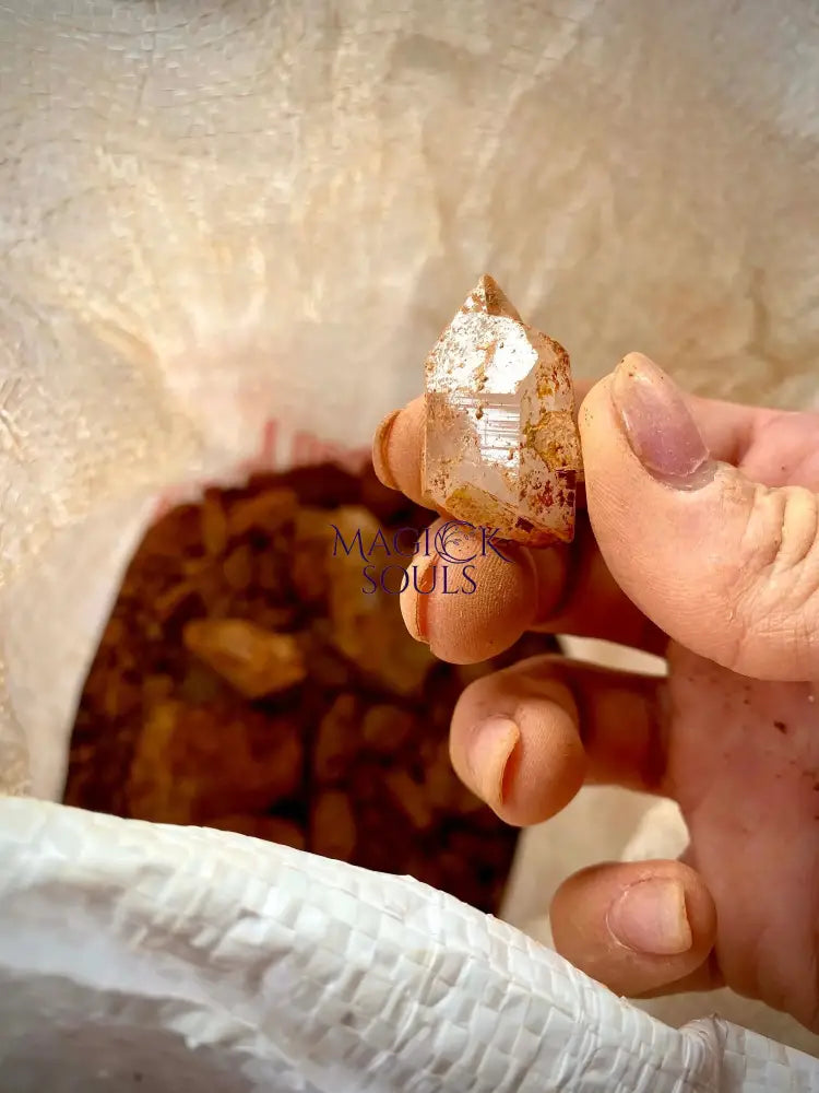 Unmined Arkansas Clear Quartz Crystals Magick Souls