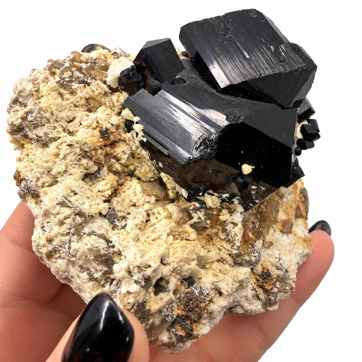 Black tourmaline crystals on feldspar matrix from Pakistan, next to a quarter for scale - Magick Souls
