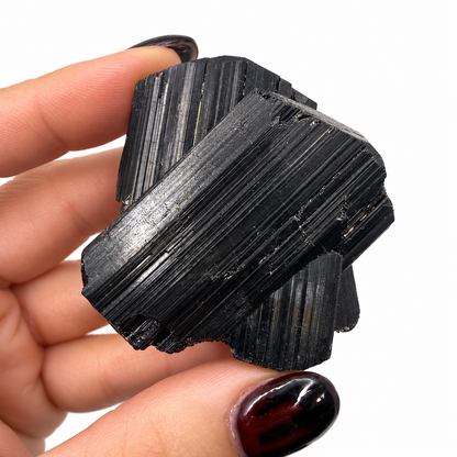 Raw black tourmaline crystal cluster from Brazil next to a quarter for scale - Magick Souls