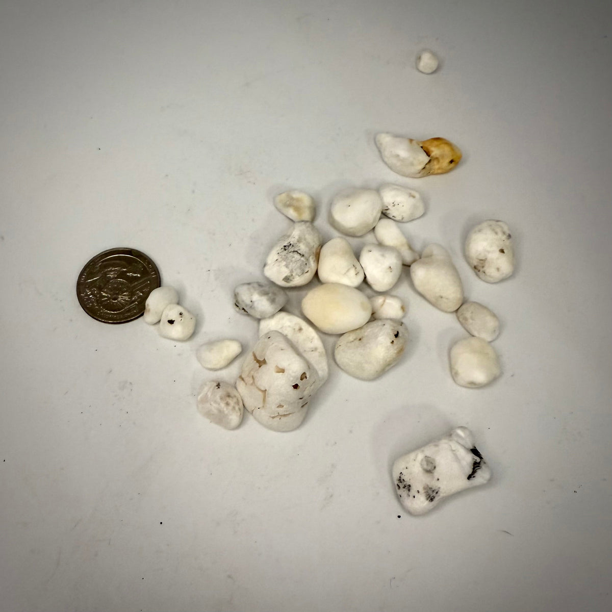 Russian Natrolite Tumbles Rocks & Fossils
