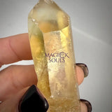 100% Genuine Natural Citrine Point Rocks & Fossils
