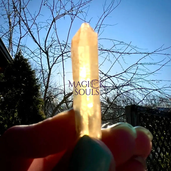100% Genuine Natural Citrine Point - Magick Souls