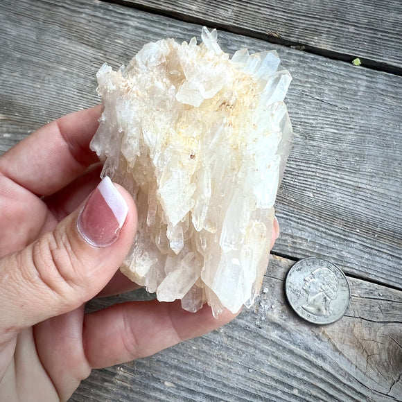 Faden Quartz Cluster