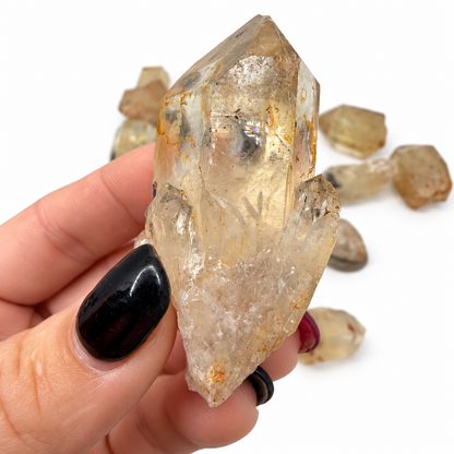 Raw natural citrine crystal point with golden color and inclusions - Magick Souls