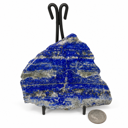 Polished lapis lazuli slab in deep royal blue with banded calcite and pyrite, next to a quarter for scale - Magick Souls