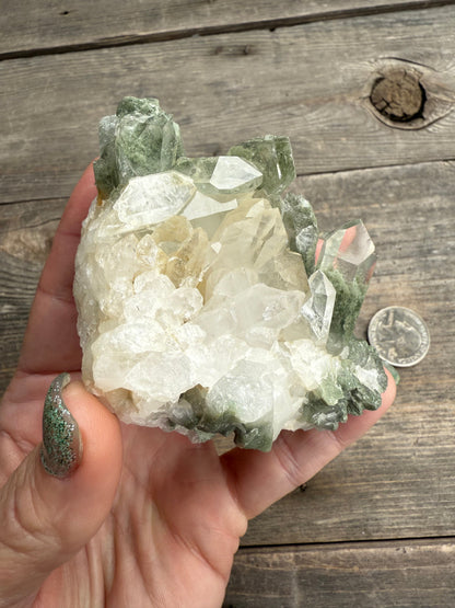 Phantom Chlorite Quartz Green Ghost Cluster Mineral Specimen - Magick Souls