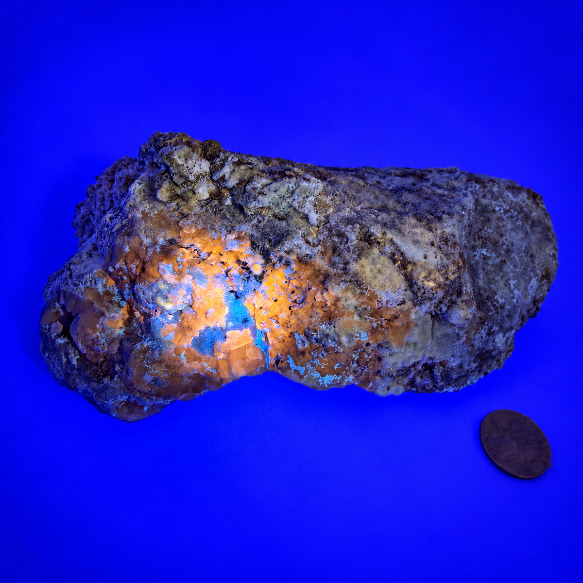 Rare Afghanite Mineral Specimen – UV Reactive Afghanite on Pyrite Matrix, 8" Collector Piece from Afghanistan
