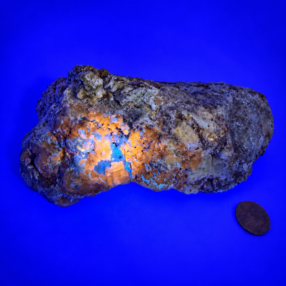Rare Afghanite Mineral Specimen – UV Reactive Afghanite on Pyrite Matrix, 8" Collector Piece from Afghanistan