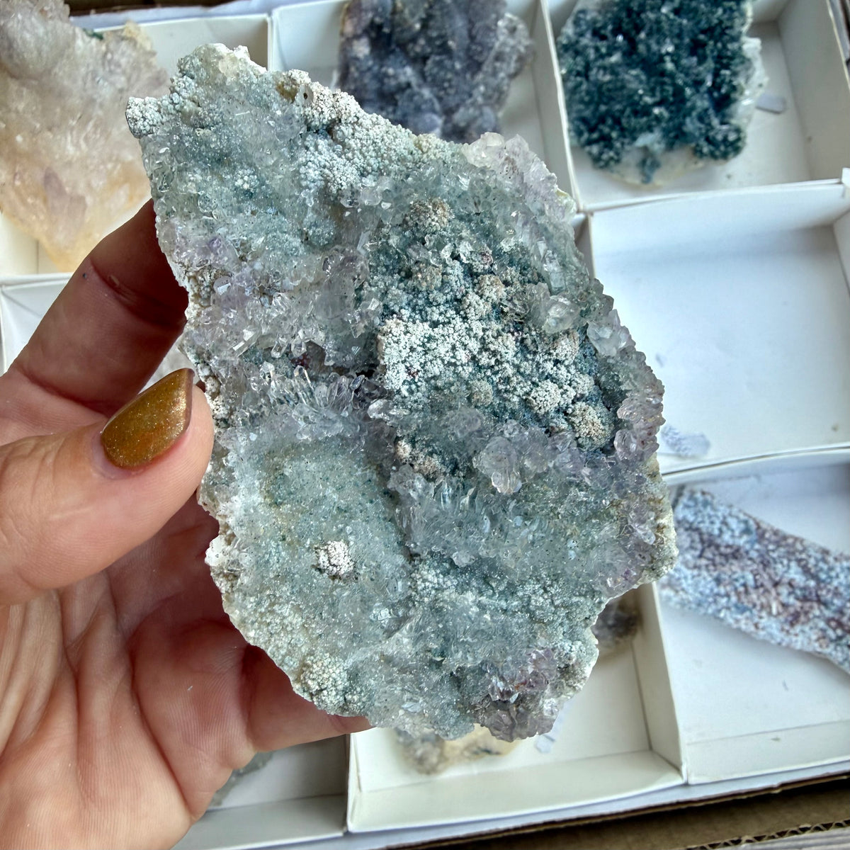 Amethyst Flower Cluster Plates — Rare Natural Specimens