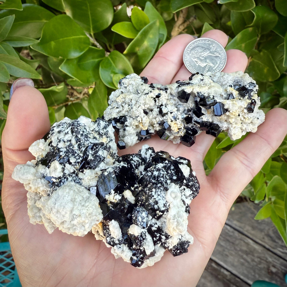 Natural Black Schorl Tourmaline & Smoky Quartz – Namibia L Rocks & Fossils