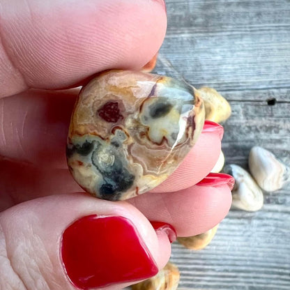 Tumbled Crazy Lace Agate Crystal - Magick Souls