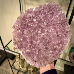 XL Amethyst Cluster over 8lbs