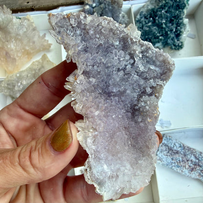Amethyst Flower Cluster Plates — Rare Natural Specimens