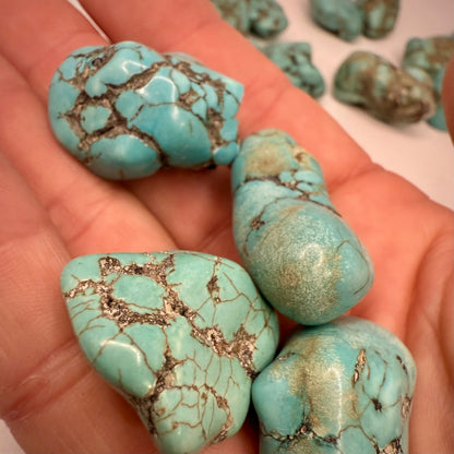 Tumbled Tibetan Turquoise Stone Rocks & Fossils