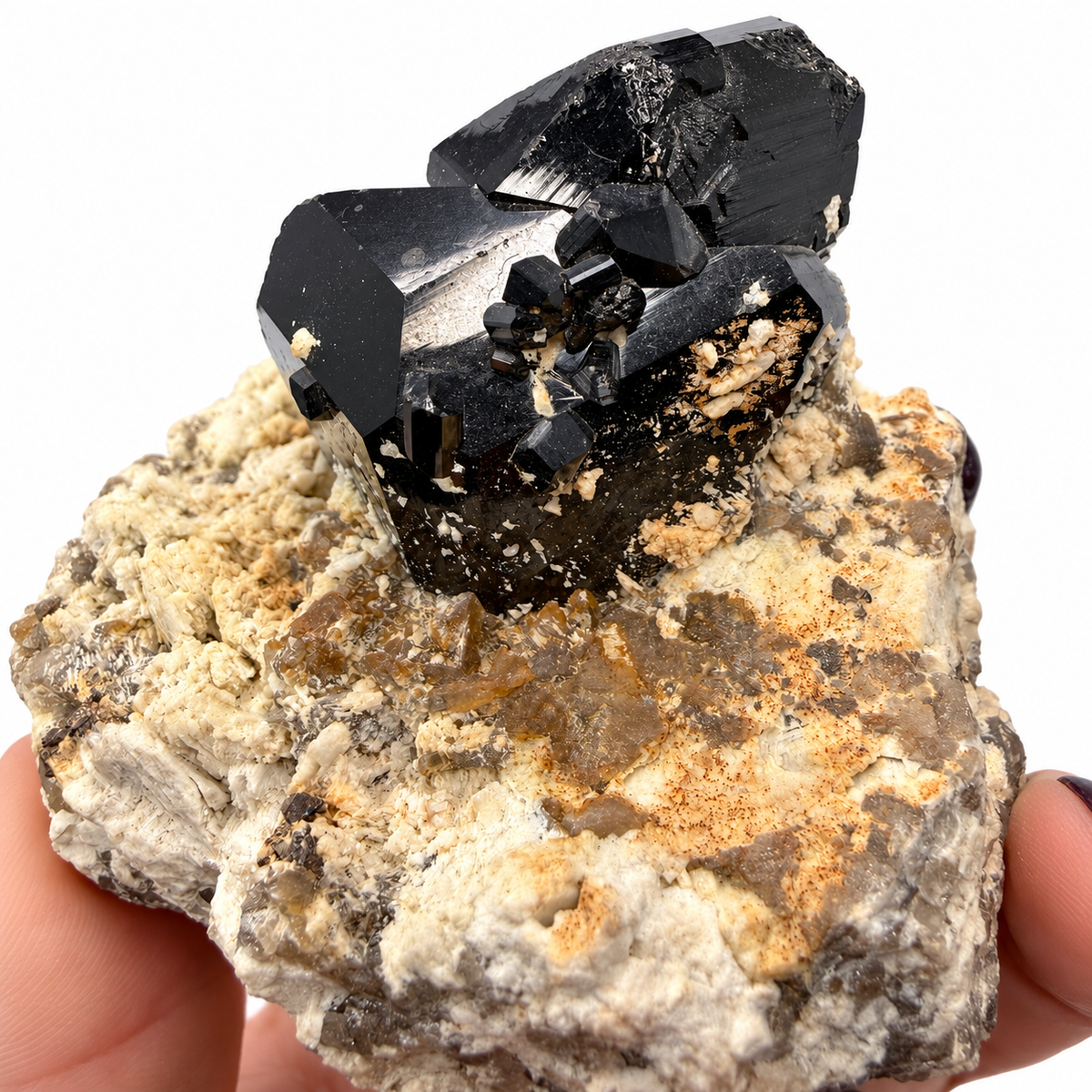 Glossy striated black tourmaline schorl crystals with faceted terminations - Magick Souls