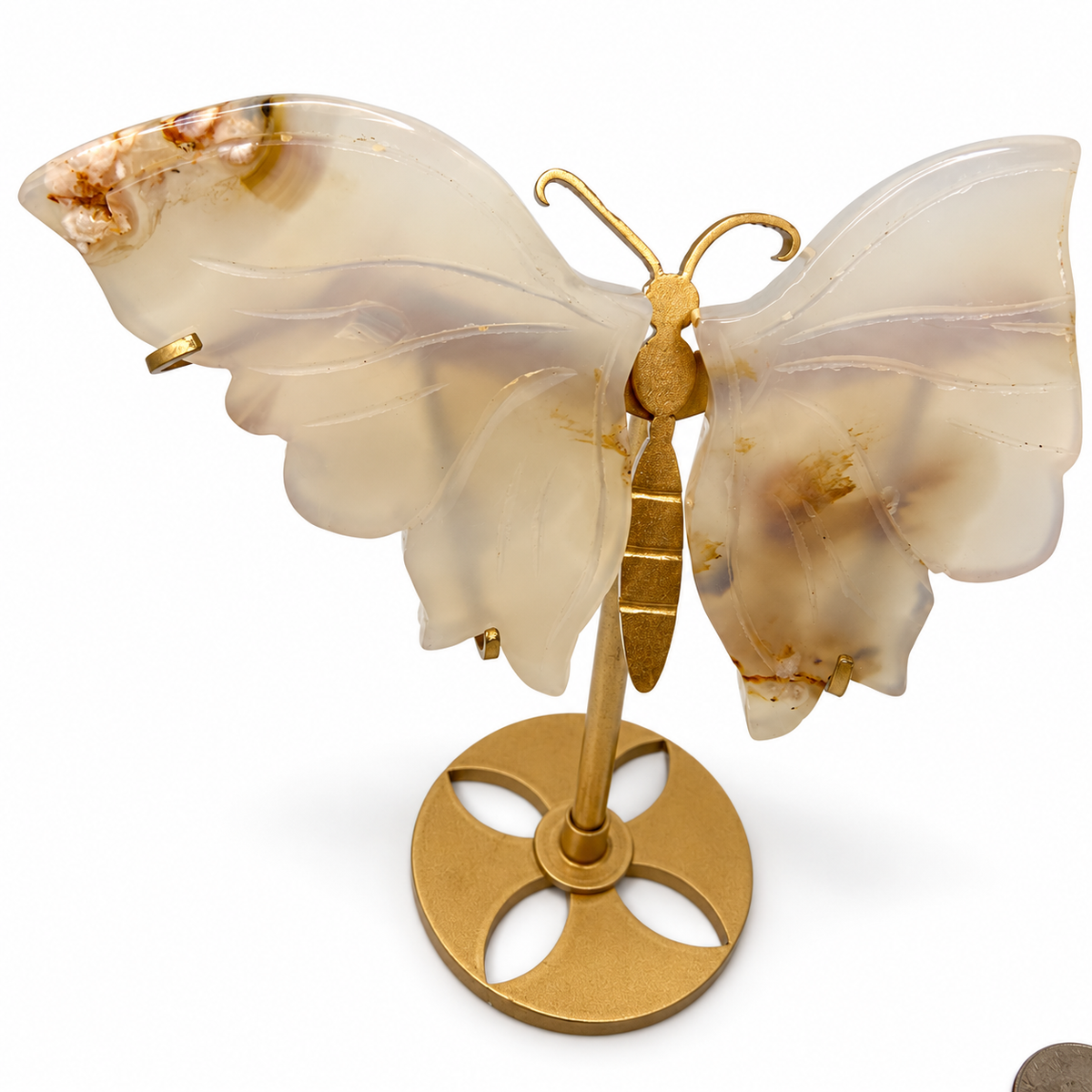 Agate crystal butterfly wings close-up showing translucent glow and natural inclusions - Magick Souls