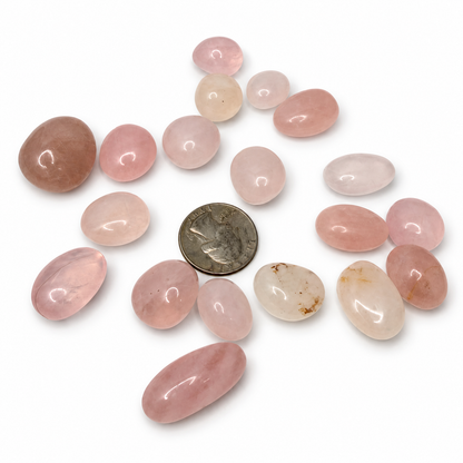 Polished rose quartz tumbled stones in shades of pink, next to a quarter for scale - Magick Souls