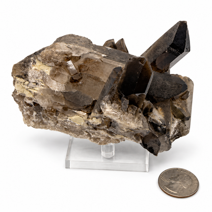Smoky Quartz Crystal Cluster – Natural Multi-Point Specimen, One of a Kind