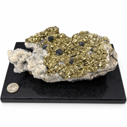 Angled view of sparkling pyrite cluster with galena crystals on quartz, mounted mineral specimen