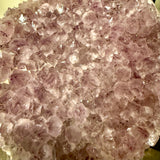 XL Amethyst Cluster over 8lbs