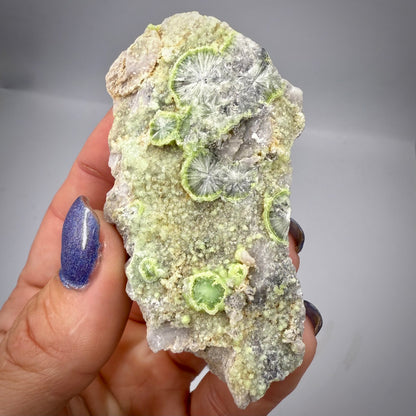 Wavellite – Mauldin Mountain Arkansas USA Rocks & Fossils