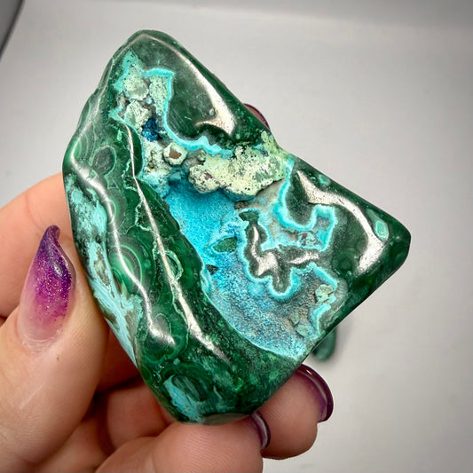 Malacholla Freeforms 1 Rocks & Fossils