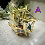 Crystal Air Plant Terrariums