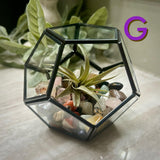 Crystal Air Plant Terrariums