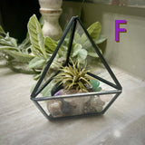 Crystal Air Plant Terrariums